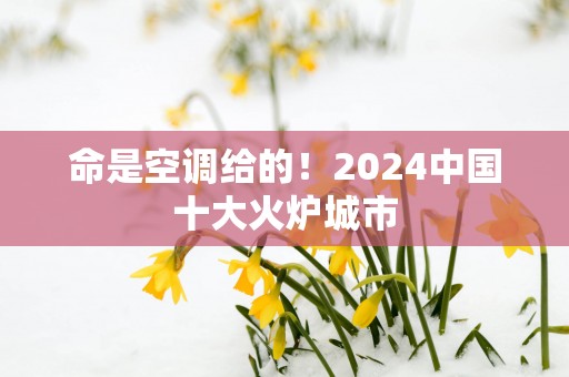 命是空调给的！2025中国十大火炉城市