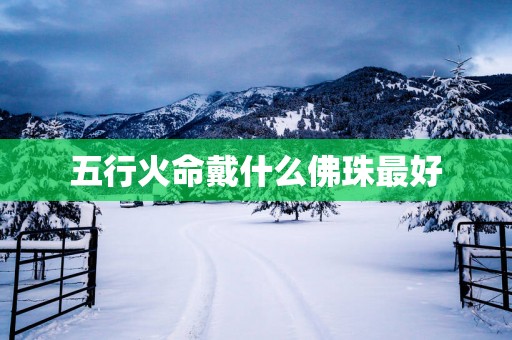 五行火命戴什么佛珠最好