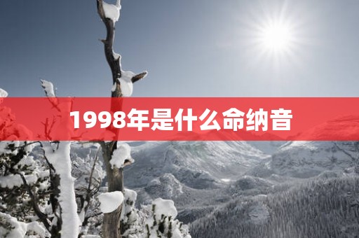 1998年是什么命纳音