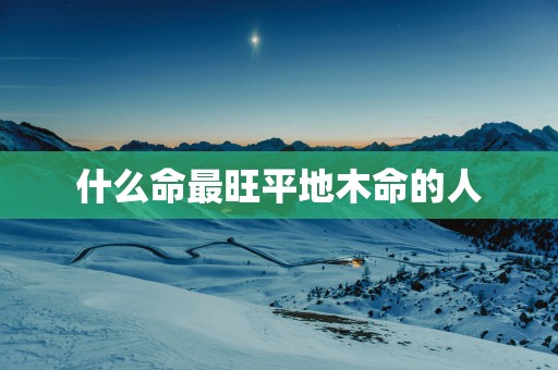 什么命最旺平地木命的人