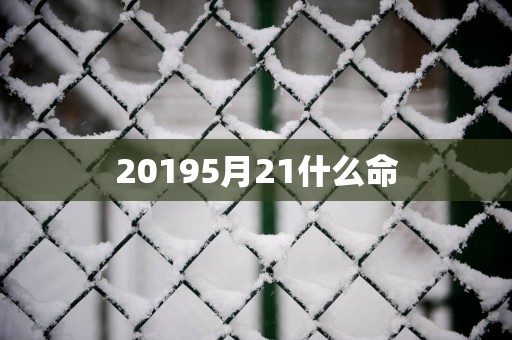 20195月21什么命