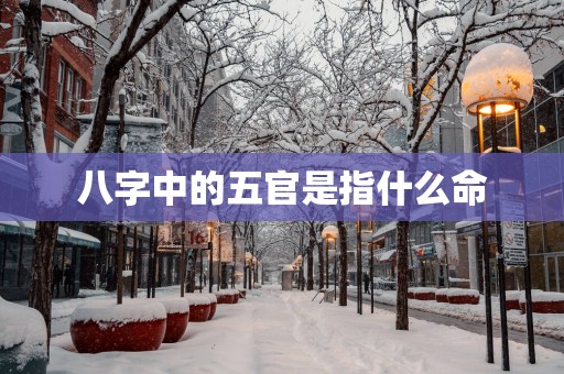 八字中的五官是指什么命