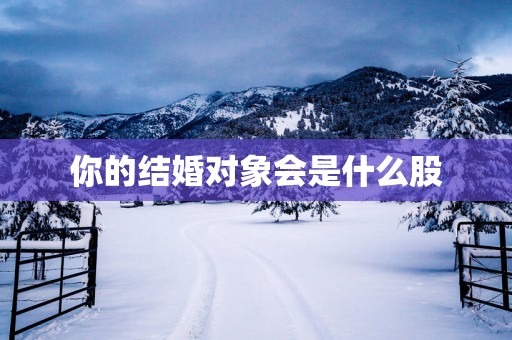 你的结婚对象会是什么股