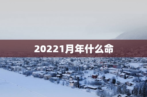 20251月年什么命