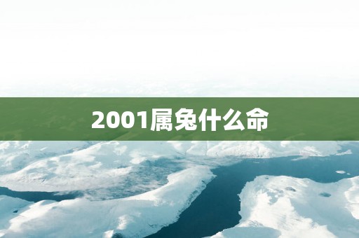 2001属兔什么命