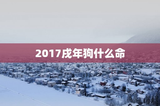 2017戌年狗什么命
