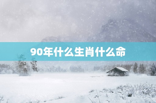 90年什么生肖什么命