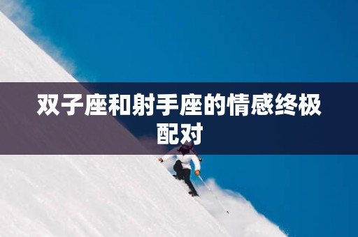 双子座和射手座的情感终极配对