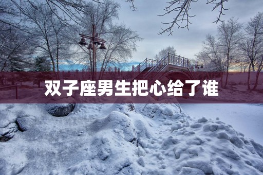 双子座男生把心给了谁