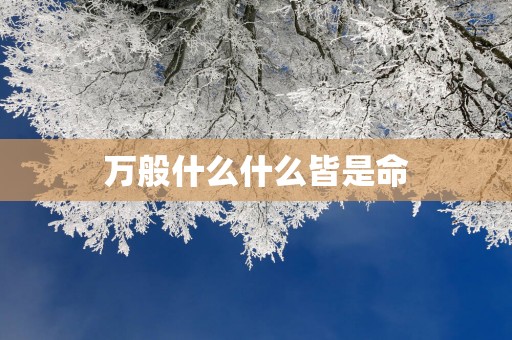 万般什么什么皆是命