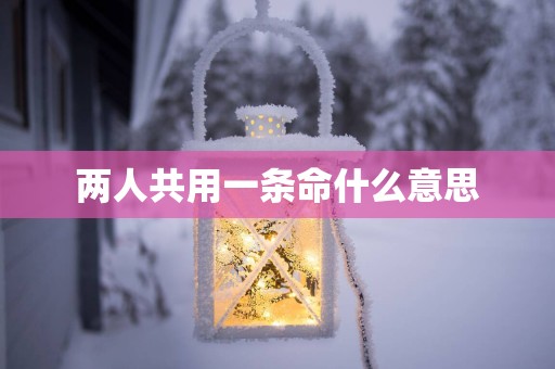 两人共用一条命什么意思