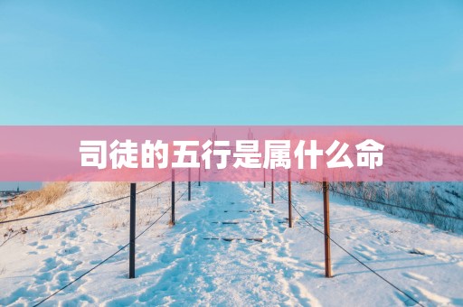 司徒的五行是属什么命