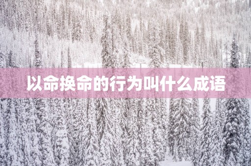 以命换命的行为叫什么成语