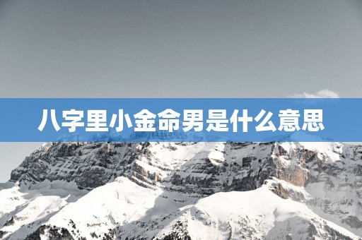 八字里小金命男是什么意思