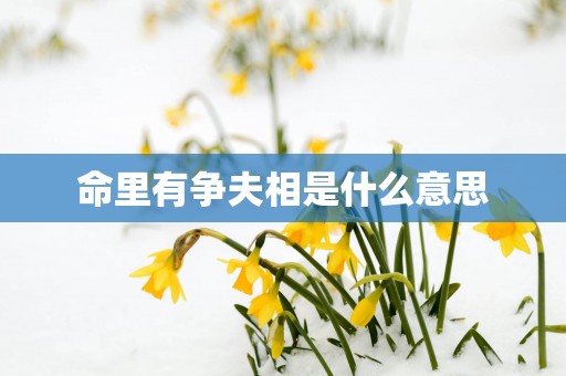 命里有争夫相是什么意思