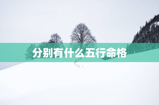 分别有什么五行命格