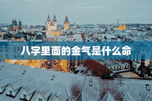 八字里面的金气是什么命