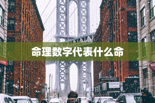 命理数字代表什么命