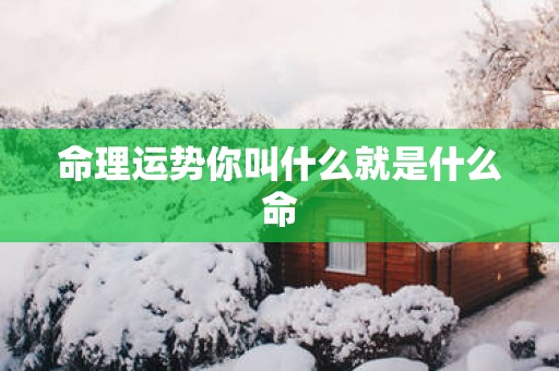 命理运势你叫什么就是什么命