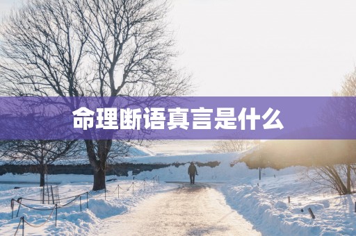 命理断语真言是什么