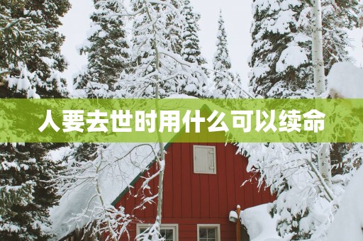 人要去世时用什么可以续命