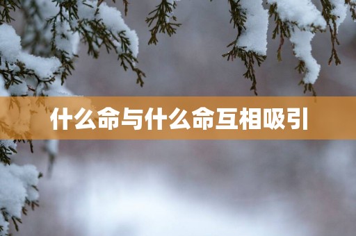什么命与什么命互相吸引