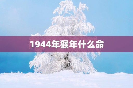 1944年猴年什么命