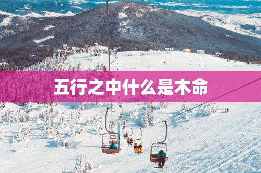 五行之中什么是木命