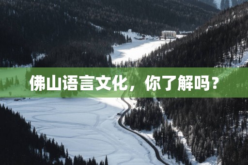 佛山语言文化，你了解吗？