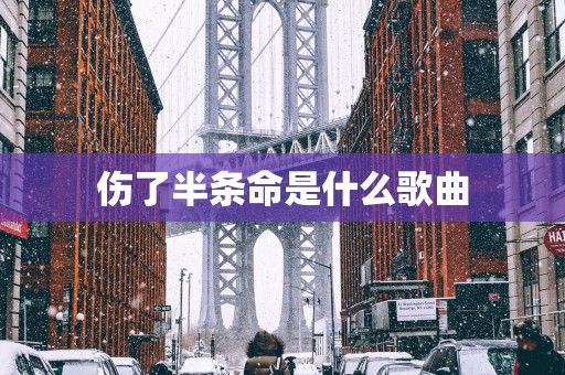 伤了半条命是什么歌曲