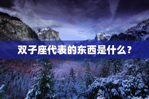 双子座代表的东西是什么？