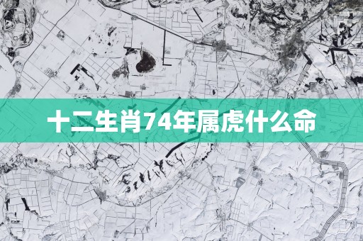 十二生肖74年属虎什么命