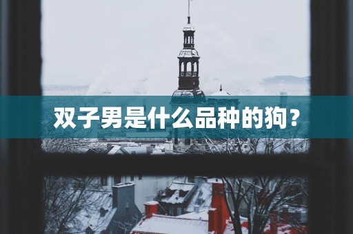 双子男是什么品种的狗？