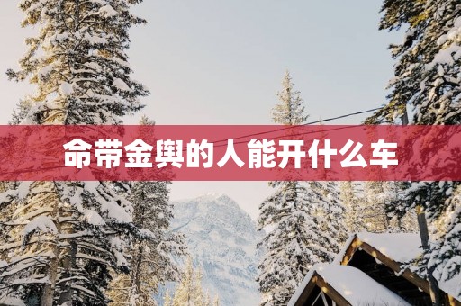 命带金舆的人能开什么车