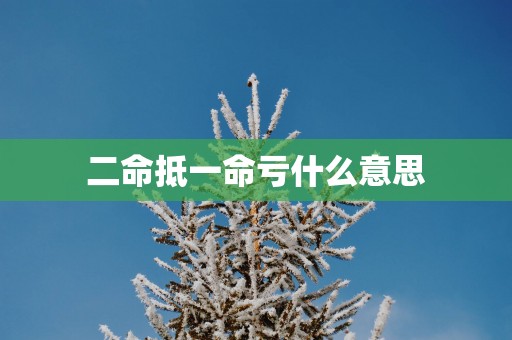 二命抵一命亏什么意思