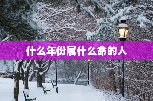 什么年份属什么命的人