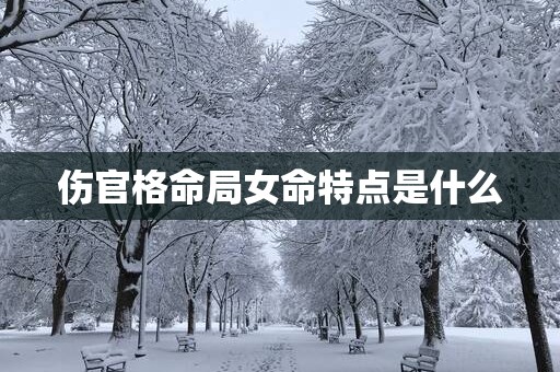 伤官格命局女命特点是什么