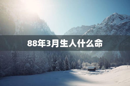 88年3月生人什么命