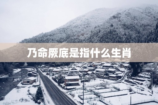 乃命厥底是指什么生肖