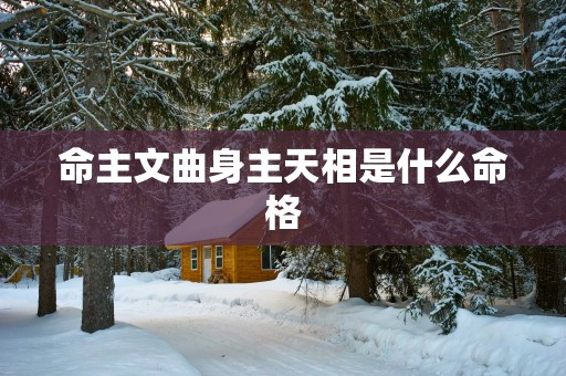 命主文曲身主天相是什么命格