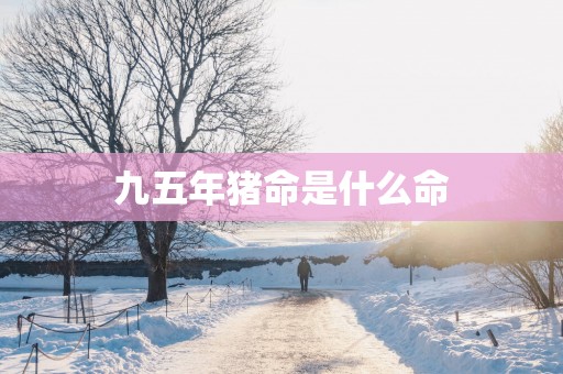九五年猪命是什么命