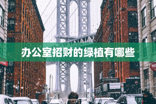 办公室招财的绿植有哪些