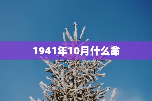 1941年10月什么命