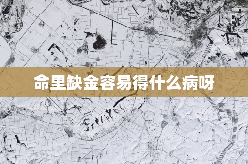 命里缺金容易得什么病呀