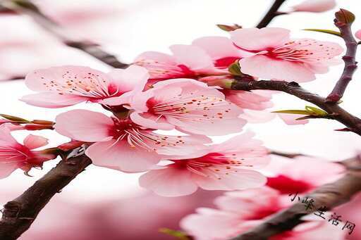 一九年十月三日属什么命 一九年十月三日属什么命