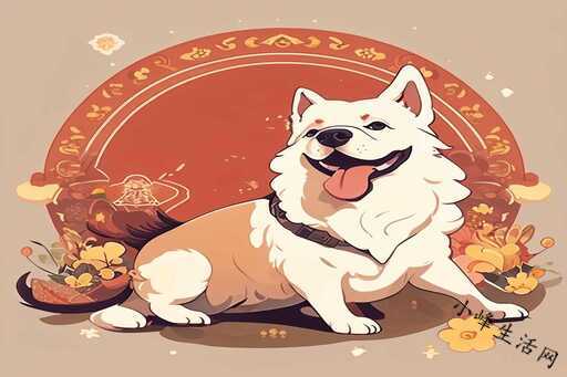 猎命师宫泽有什么命格