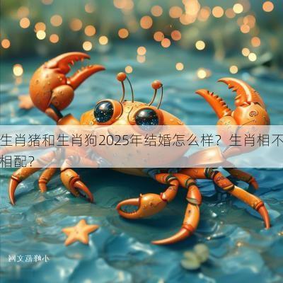 生肖猪和生肖狗2025年结婚怎么样？生肖相不相配？