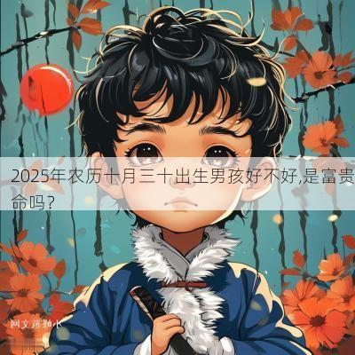 2025年农历十月三十出生男孩好不好,是富贵命吗？