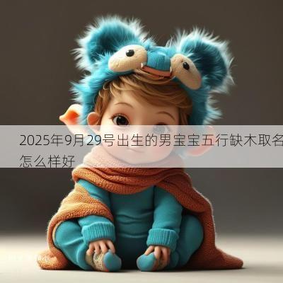 2025年9月29号出生的男宝宝五行缺木取名怎么样好