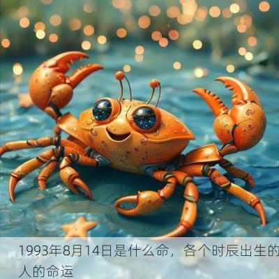 1993年8月14日是什么命，各个时辰出生的人的命运